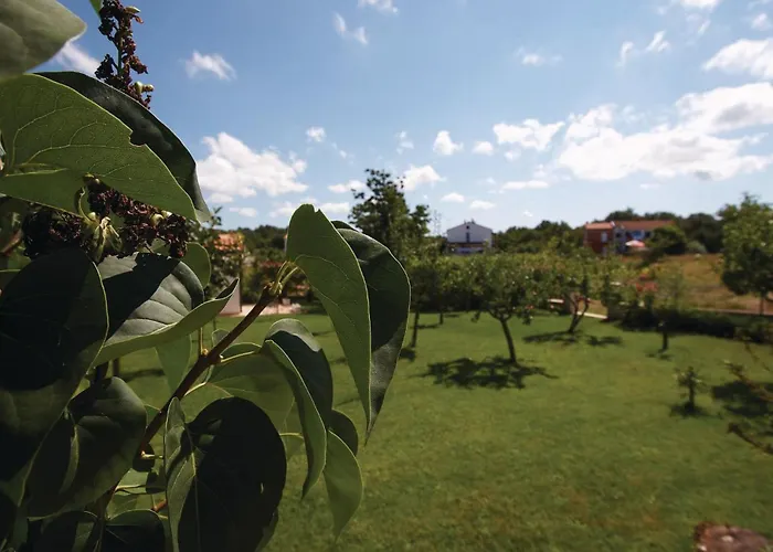 Piantade Cr Lejlighed *